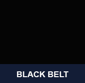 World Taekwondo (WT) Black Belt