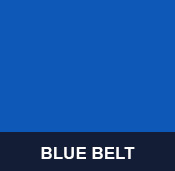 Blue Belt taekwondo test