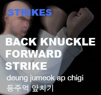 Taekwondo Back Knuckle Forward Strike ( 등주먹 앞치기 deung-jumeok-ap-chigi )