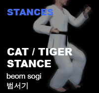 Taekwondo Cat Stance (beom sogi)