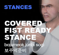 Taekwondo Cover Fist Ready Stance ( 보주먹준비 bojumeok junbi )