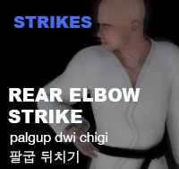Rear Elbow Strike ( 팔굽 뒤치기 palgup-dwi-chigi )