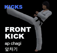 Taekwondo Front Kick (ap chagi)