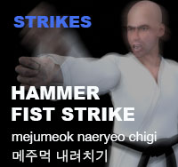 Taekwondo Hammer Fist Strike ( 메주먹 내려치기 mejumeok-naeryeo-chigi )