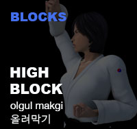 Taekwondo High Block ( 올려막기 olgul-makgi )