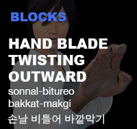 Taekwondo High Outer Forearm Block