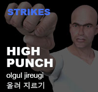 Taekwondo High Punch ( 올려 지르기 olgul-jireugi )
