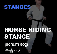 Taekwondo Horse Stance