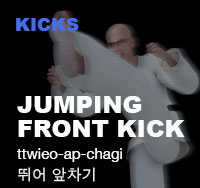 Jumping Front Kick ( 뛰어 앞차기 ttwieo-ap-chagi )