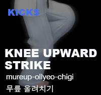 Knee Upward Strike ( 무릎 올려치기 mureup-ollyeo-chigi )