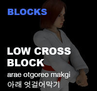 Low Cross Block ( 아래 엇걸어막기 arae-otgoreo-makgi )