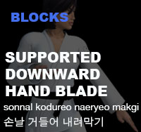 Taekwondo Supported Hand Blade Downward Block ( 손날 거들어 내려막기 sonnal-kodureo-naeryeo-makgi )