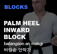 Taekwondo Palm Hand Trunk Block (batangson momtong makgi)