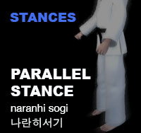 Parallel Stance (naranhi sogi)