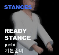 Taekwondo Ready Stance (junbi)