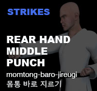 Taekwondo Rear Hand Middle Punch ( 몸통 바로 지르기 momtong-baro-jireugi )