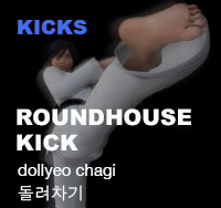 Taekwondo Roundhouse Kick