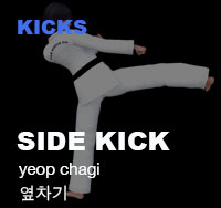 Taekwondo Side Kick