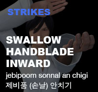 Taekwondo Swallow Handblade Inward  Strike ( 제비품 손날 안치기 jebipoom-sonnal-an-chigi )