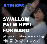 Swallow Palm Heel Front Strike ( 제비품 바탕손 앞치기 jebipoom-batangson-ap-chigi )