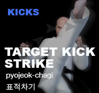 Taekwondo Target Kick Strike ( 표적차기 pyojeok-chagi )
