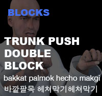 Taekwondo Trunk Push Middle Block