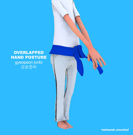 Overlapped Hand Posture