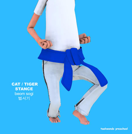 Cat or Tiger Stance (beom sogi)
