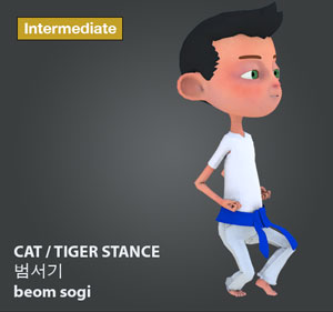 Cat or Tiger Stance ( 범서기 beom-sogi )