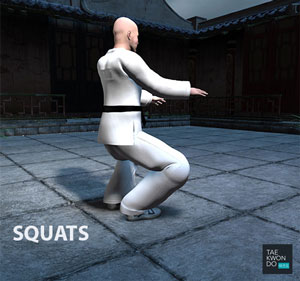 Squats | Taekwondo Preschool