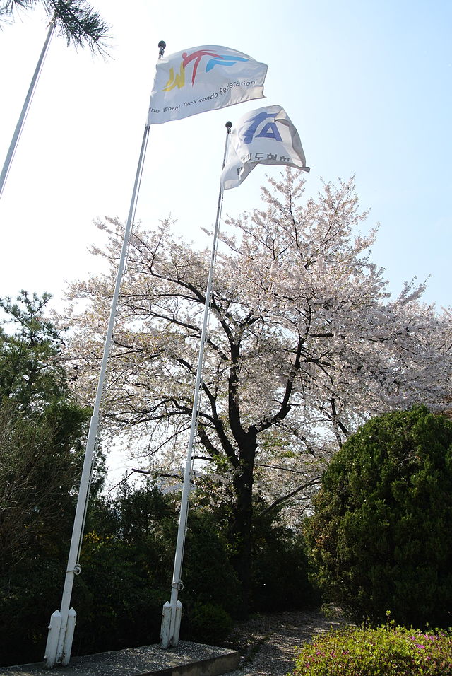 Flagpoles and flags of the World Taekwondo and of the Korean Taekwondo Association at the Kukkiwon in Seoul