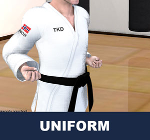 Toeboek the pronunciation under Korean grammar rules, is the uniform worn by practitioners of Korean Martial Arts. Do means way and bok means clothing