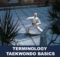 Taekwondo Basics Terminology
