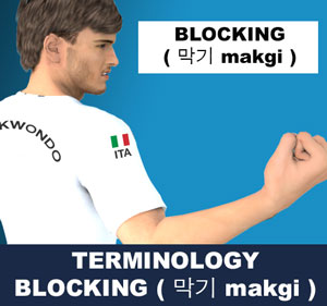 Taekwondo Blocking ( 막기 makgi ) Terminology