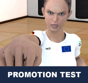 Promotion test