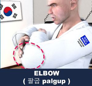 Elbow ( 팔굽 palgup )