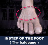 Instep of the Foot ( 발등 baldeung )