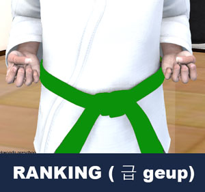 Taekwondo Ranking ( 급 geup )