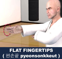 Flat Fingertips ( 편손끝 pyeonsonkkeut )