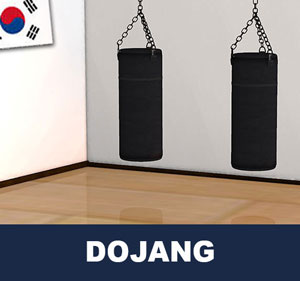 Taekwondo Training Hall ( 도장 dojang )