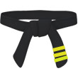 3rd Dan Belt