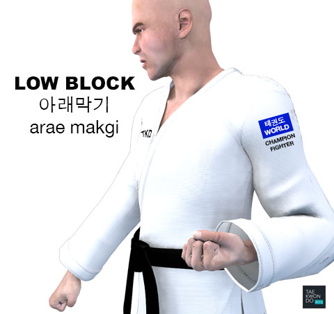 Low Block ( 아래막기 arae makgi )