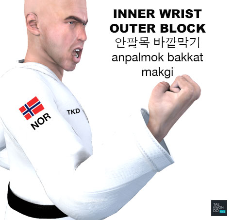 Inner Wrist Outer Block ( 안팔목 바깥막기 anpalmok bakkat makgi )