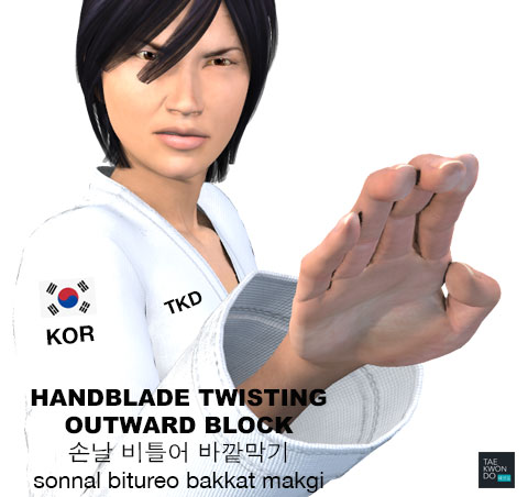 Hand Blade Twisting Outward Block ( 손날 비틀어 바깥막기 Sonnal bitureo bakkat makgi )