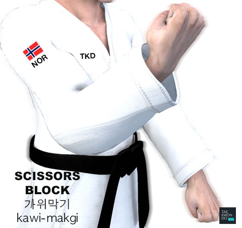 Scissor Block ( 가위막기 kawi makgi )