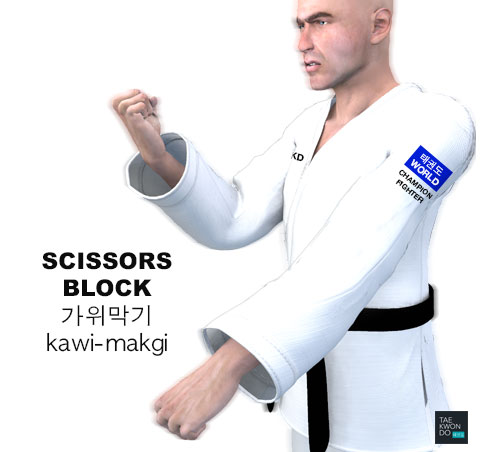 Scissors Block ( 가위막기 kawi-makgi )