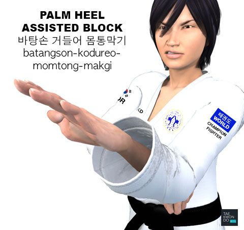 Palm Heel Assisted Block ( 바탕손 거들어 몸통막기 batangson-kodureo-momtong-makgi )