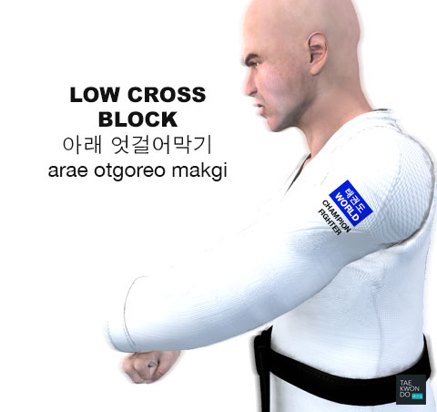 Low Cross Block ( 아래 엇걸어막기 arae-otgoreo-makgi )