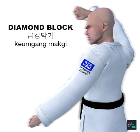 Diamond Block ( 금강막기 keumgang-makgi )