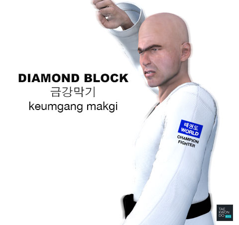 Diamond Block ( 금강막기 keumgang-makgi )